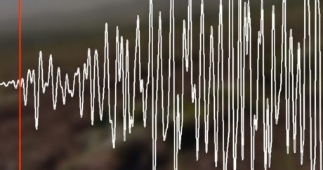 В Японии зафиксировано землетрясение магнитудой 4,9