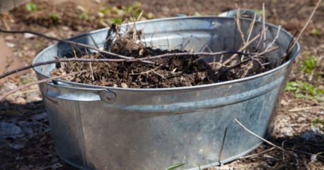 В США останки умерших будут перерабатывать в компост