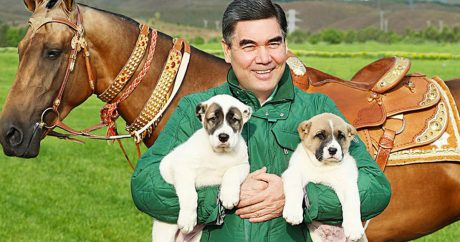 Президент Туркменистана начал писать книгу об алабаях (видео)