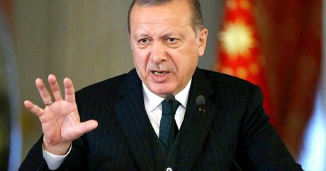 Эрдоган поручил ускорить реформы для вступления Турции в полноправные члены ЕС