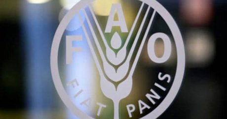 FAO положительно оценивает деятельность Азербайджана в области продовольственной безопасности