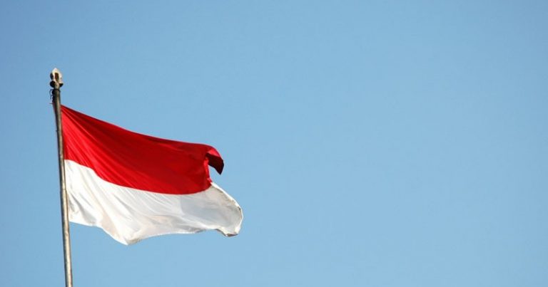 Новой столицей Индонезии может стать город Паланкарая