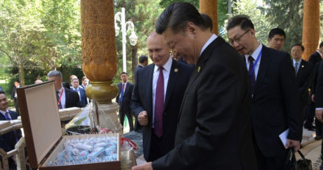 Путин подарил Си Цзиньпину на его день рождения мороженое
