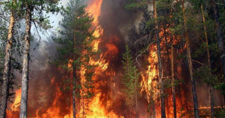 Минэкологии предупреждает граждан в связи с возможными пожарами