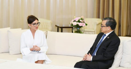 Первый вице-президент Мехрибан Алиева встретилась с заместителем генсека ООН