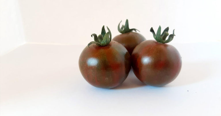 В Азербайджане выращиваются «черные помидоры»