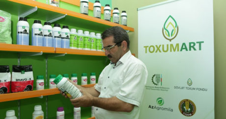 В Азербайджане создан первый бренд семян