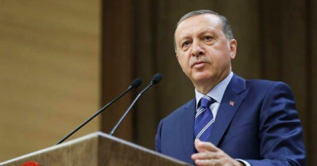 Эрдоган: Турция столкнулась с угрозой нелегальной миграции