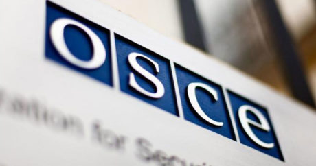 ОБСЕ обсудило в Ашхабаде вопросы оказания помощи жертвам торговли людьми