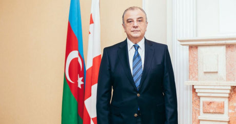 Бывший посол Грузии в Азербайджане получил новое назначение