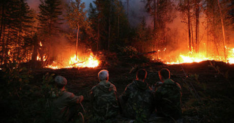 Площадь лесных пожаров в Сибири превысила 1,6 миллиона гектаров