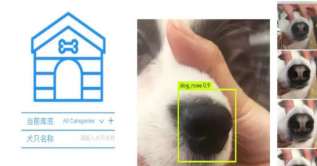 В Китае создали систему распознавания собак по отпечатку носа
