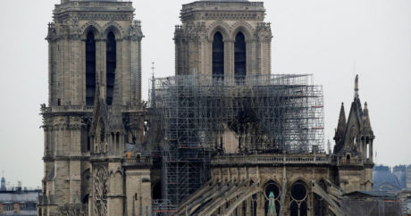 Во Франции собрали почти 270 миллионов евро на реконструкцию Нотр-Дама