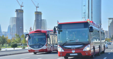 Бактрансагентство выделило 40 автобусов для зрителей фестиваля «ЖАРА»