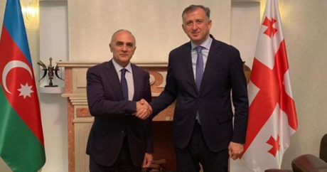 Посол Грузии в Азербайджане встретился с генсеком ГУАМ