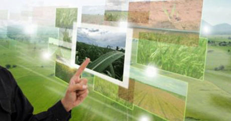 Азербайджанские фермеры получат субсидии через Электронную сельскохозяйственную систему