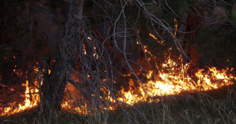 Один из островов на Канарах охватил природный пожар, виновник – сварщик