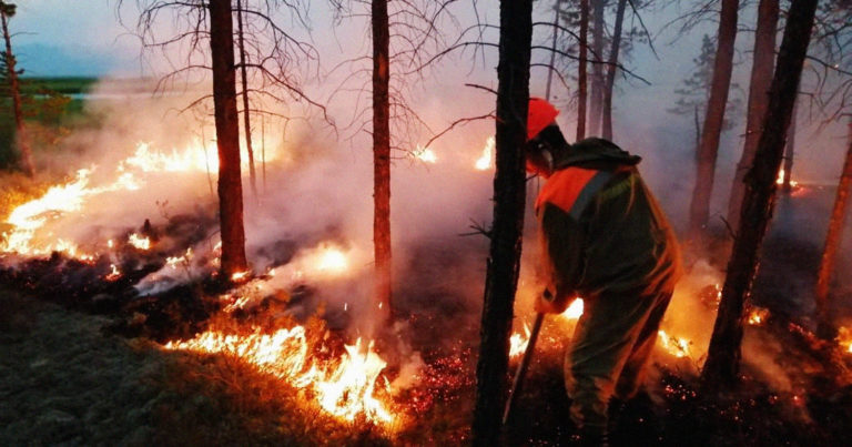 Самолеты Минобороны потушили почти половину пожаров в лесах Сибири
