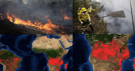 Теперь горит Африка: пожары протянулись на тысячи километров