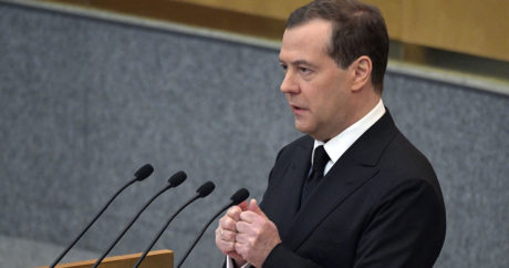 Медведев заявил о конфискации в бюджет техники для незаконной рубки лесов