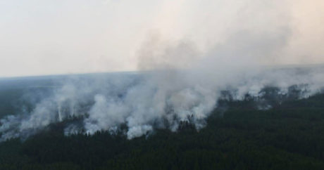 Дым от пожаров в лесах России окутал 610 городов и сел