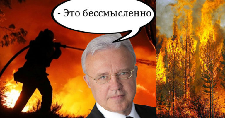 Красноярцы потребовали отставки губернатора, заявившего о бессмысленности борьбы с пожарами