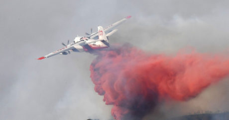 Пожары уничтожили на юге Франции 430 га леса