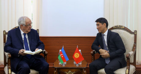 Глава МИД и посол Азербайджана обсудили проведение Саммита Совета сотрудничества тюркоязычных стран