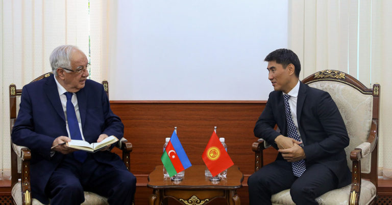 Глава МИД и посол Азербайджана обсудили проведение Саммита Совета сотрудничества тюркоязычных стран