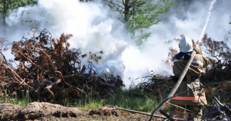 В Иркутской области огонь лесных пожаров подобрался к шести населенным пунктам