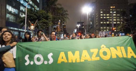 Амазония в беде: люди вышли на улицы с требованием защитить лес