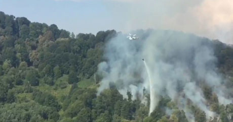 Лесные пожары потушены в Габалинском, Исмаиллинском, Бардинском и Агсуинском районах