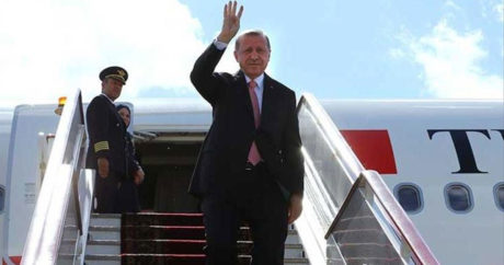 Эрдоган прибыл с официальным визитом в Россию