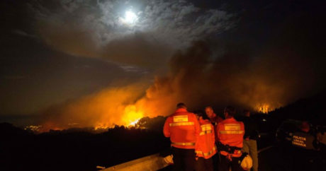 Мощный пожар на Канарских островах: горят заповедники