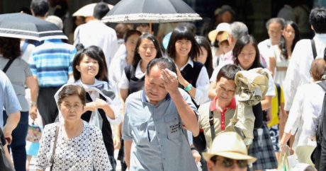 В Японии за неделю от жары погибли семь человек