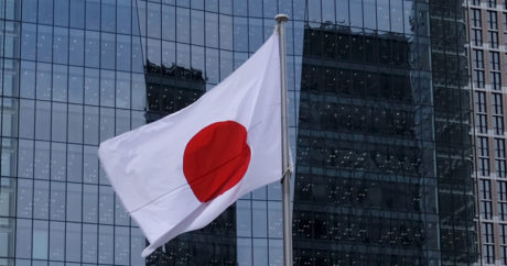 Правительство Японии в полном составе ушло в отставку