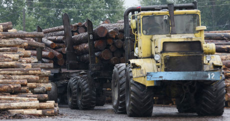 Украинцы отказываются от газа в пользу дров