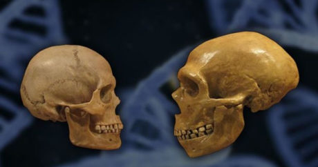 Ученые обнаружили неожиданную причину вымирания неандертальцев