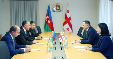 Министр внутренних дел Грузии встретился с послом Азербайджана