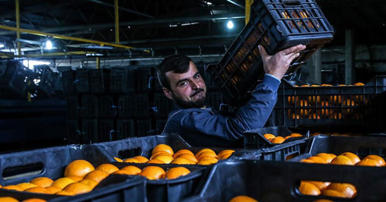 Сирия начнет поставлять сельхозпродукцию в Россию через Крым