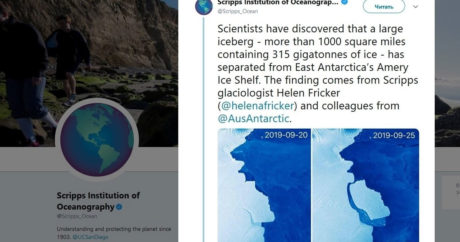 Айсберг весом 315 млрд тонн откололся в Антарктиде