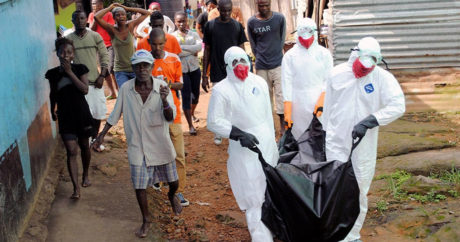 Ученые предупредили о новых вспышках Эболы