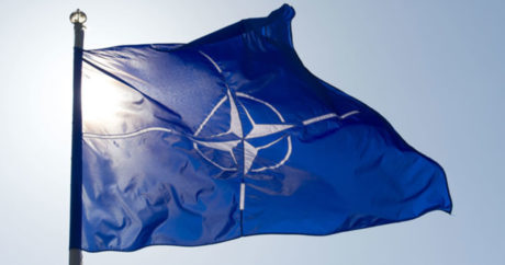 Четыре страны ЕС создадут совместное командование спецоперациями при участии НАТО