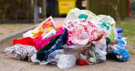 Роспотребнадзор не исключил полного запрета пластиковых пакетов