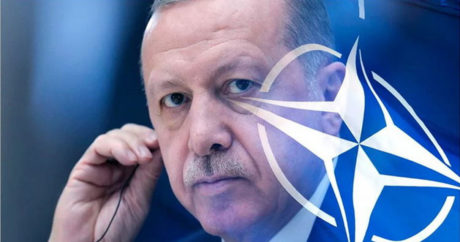 Сенаторы США пригрозили исключить Турцию из НАТО