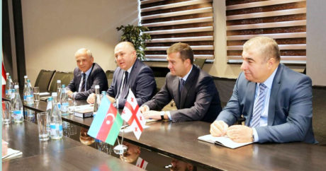 Посол Азербайджана встретился с новым главой СГБ Грузии