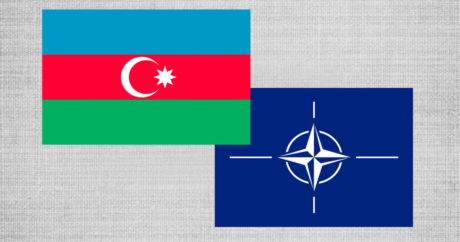 Военный эксперт: «Сотрудничество между Азербайджаном и НАТО идет по возрастающей шкале»