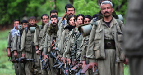 Сможет ли Турция покончить с курдским терроризмом? — Интервью