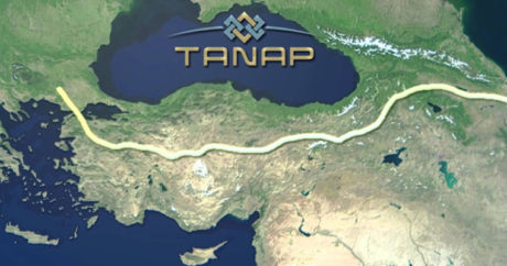 Обнародована дата открытия TANAP