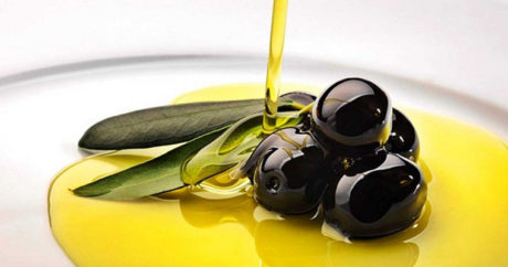 Португалия: мировой эталон по выращиванию оливок за последние 10 лет